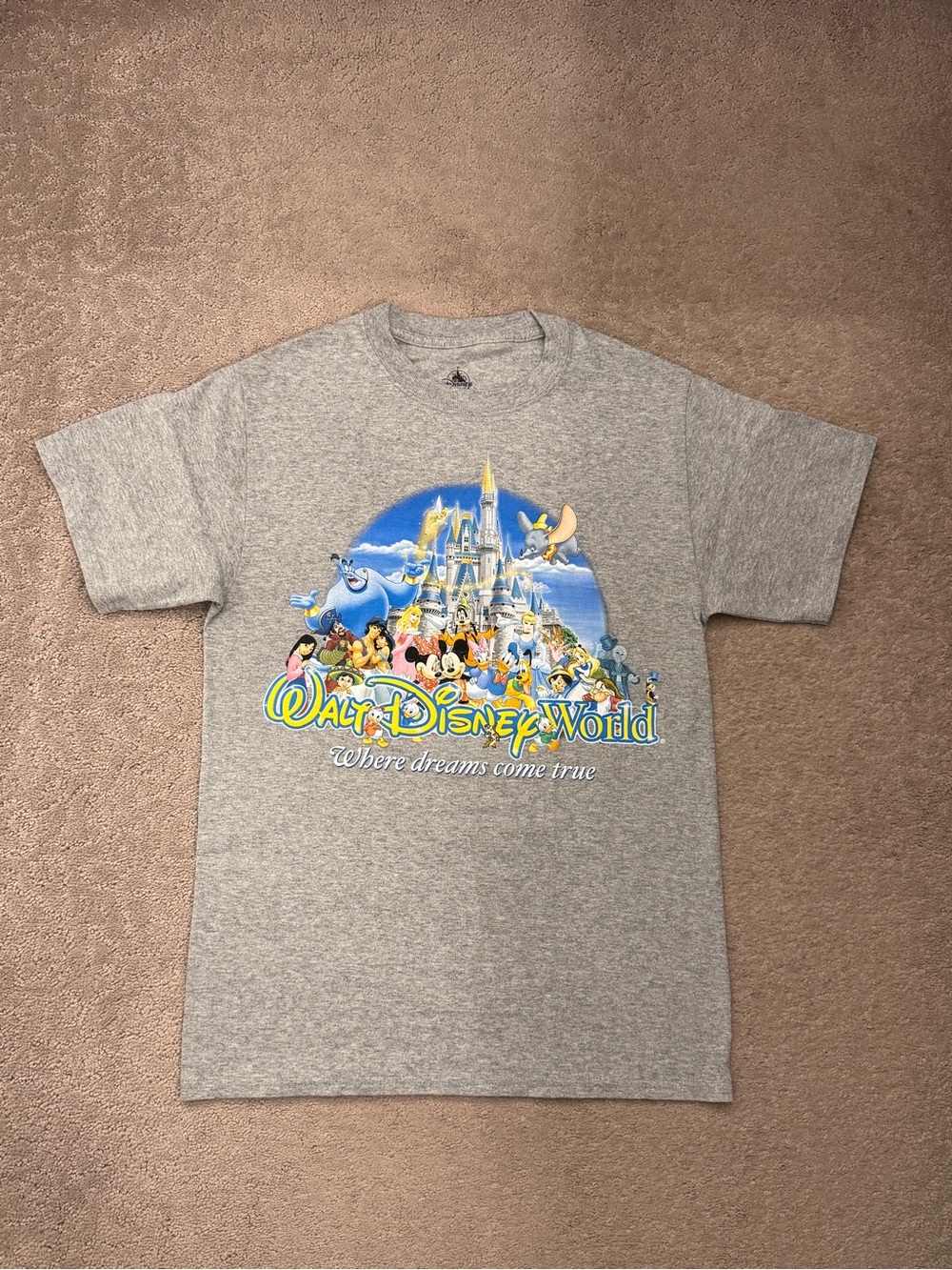 NWOT- Disney World Gray adult Graphic Tee - Walt Disney World Castle Print